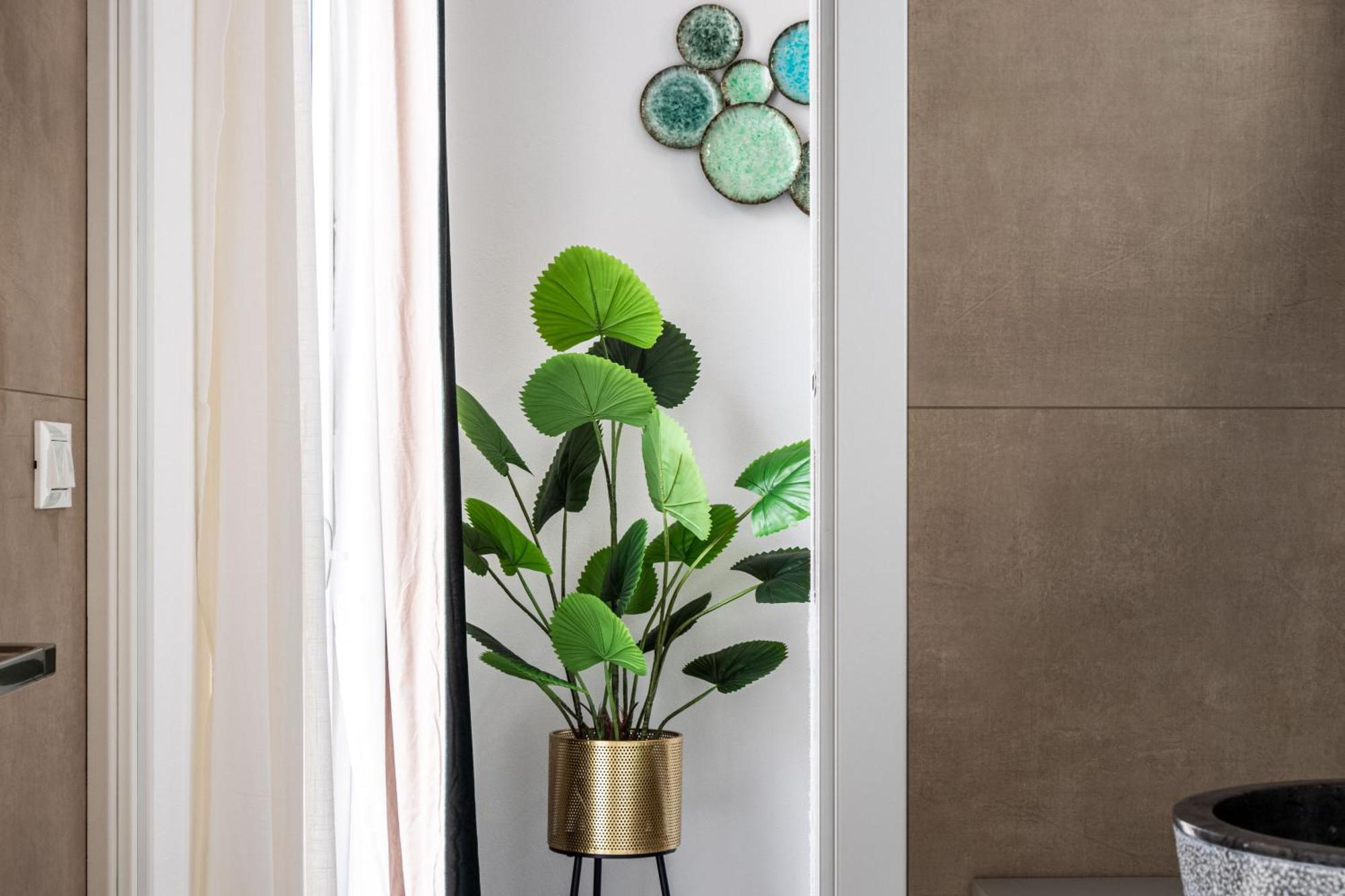 אבולה Dimo Luxury Apartment 2 מראה חיצוני תמונה
